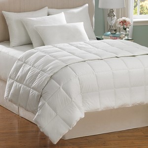 AllerEase Hot Water Washable Down Alternative Comforter-White (Twin)