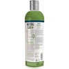 Natural Care Flea & Tick Shampoo for Dogs - 12 fl oz - 2 of 2