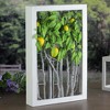 Northlight 18.5" White Birch Branch Lemon Tree Rustic Wooden Frame Decoration - 3 of 3