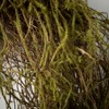 Sullivans Artificial Woven Twig Wreath 24"H Brown - 2 of 4