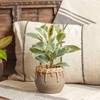 LiveTrends Large Cava Ceramic Indoor Planter Pot Terracotta Orange 6.5"x6.5"x5.5" - 2 of 2