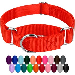 Country Brook Design Martingale Heavyduty Nylon Dog Collar - 1 of 4