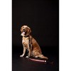 Touchdog Lumiglow 2-in-1 USB Charging LED Lighting Water-Resistant Dog Leash and Collar - 3 of 4