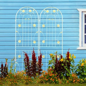 Aghana Digitals 2-Pack 71"x19.7" Rustproof Metal Garden Trellis for Climbing Plants, Outdoor Flower - 1 of 4