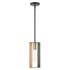 Livex Lighting Soma 1 - Light Pendant in  Textured Black/Brushed Nickel - 2 of 2