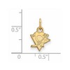 Black Bow Jewelry 14k Yellow Gold Pittsburgh Penguins NHL Extra Small Pendant - 2 of 3