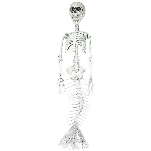 mermaid tail anatomy