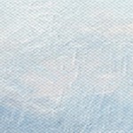 coastal white