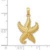 Black Bow Jewelry 14k Yellow Gold 16mm Textured 2D Starfish Pendant - 4 of 4