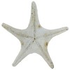 Northlight Nautical Starfish Coastal Decoration - 11.75" - Sandy White and Brown - 4 of 4