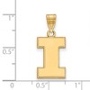 Black Bow Jewelry 10k Yellow Gold Illinois Fighting Illini NCAA Medium Pendant - 2 of 3
