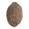 SAGEBROOK HOME 23" Metal Trunk Stump Wall Decor: Contemporary Iron Art, Horizontal Orientation - image 2 of 4