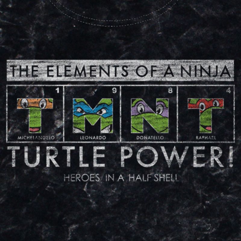 Men's Teenage Mutant Ninja Turtles Distressed The Elements of a Ninja T-Shirt, 2 of 5