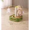 Cat Puzzle Toys Interactive Cat Dancer for Indoor Cats Teasing Box with Squeaky Toys and Scratching Felt - 4 of 4