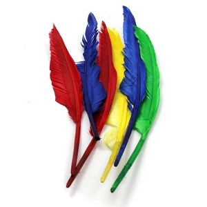 Charles Leonard Quill Feathers, 10" & 12", 6 Count (Pack of 10) - 1 of 1