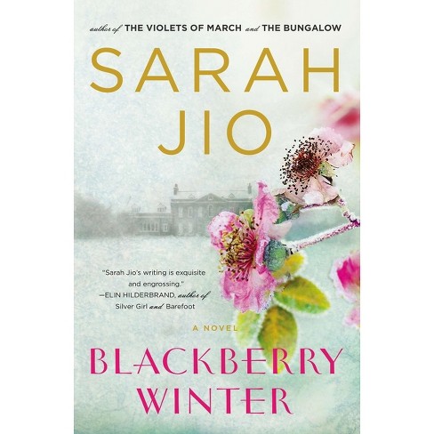 Blackberry Winter - by  Sarah Jio (Paperback) - image 1 of 1