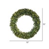 Vickerman Artificial Cashmere Pine Wreath - 3 of 4