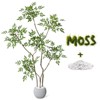 5ft/6ft/7ft Nandina Artificial Tree with White Planter for Home Decor Office Living Room - 4 of 4