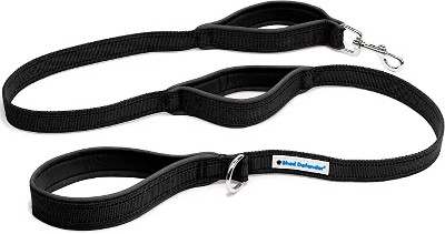 Shed Defender Shock Absorbing Bungee Dog Leash - Three Padded