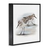 Stupell Industries Sandpiper Pair on Sandy Beach, 17" x 17" - 3 of 4