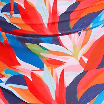 colorful leaves
