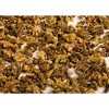 Gourmanity Dried Green Bell Peppers - 4oz - 3 of 4