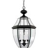 Quoizel Lighting Newbury 4 - Light Pendant in  Mystic Black - 2 of 2