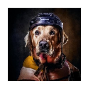 Canvas Wall Art - Sean Parnell 'Hockey 1' Wall Art for Living Room, Bedroom, or Office Décor by Trademark Fine Art - 14 x 14 Inches - 1 of 4
