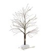 Department 56 Accessory 10.5 Inch Winter's Frost Bare Branch Tree Lit 