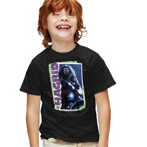 Boys' Short Sleeve Harry Potter Rubeus Hagrid Photo Collage T-Shirt - 1 of 4