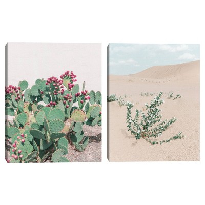 (Set of 2) 21" x 16" Marfa & Marfa Cactus by 527 Photo Framed Wall Canvases - Masterpiece Art Gallery