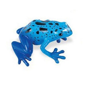 Collectible Wildlife Gifts | Frog, Blue Poison Dart Frog,  Plastic Toy, Realistic, Rainforest, Model,   Educational, Gift,       2"    F4090 B54 - 1 of 4