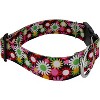 Country Brook Petz HossFit Jr Wide Deluxe Dog Collar - Floral Collection - 3 of 4