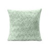 Racxily Curlicue Faux Fur Pillow Nomadic Desert 22 x 22 inches - 3 of 4