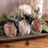 Burgandy Dried Floral Glass Ornament (Set of 12) - 2 of 4
