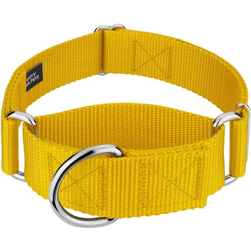 2 inch best sale nylon dog collar