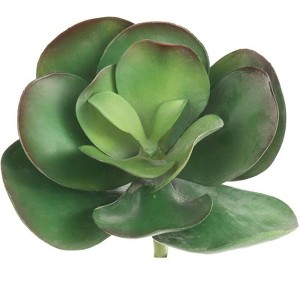Floral Home 10" Paddle Plant Lifelike Succulent - 12-Piece - 1 of 2