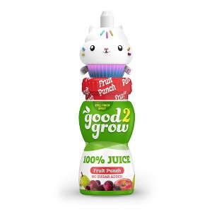 good2grow Spouts Fruit Punch Juice Drink - 6 fl oz Bottle - 1 of 4