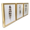 (Set of 3) 16" x 20" Feathers Framed Wall Canvas Brown - Gallery 57: Modern Gold-Framed Nature Art, MDF Composite - 4 of 4