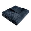 Velvet Stitch Quilted Throw - Levtex Home - 2 of 4