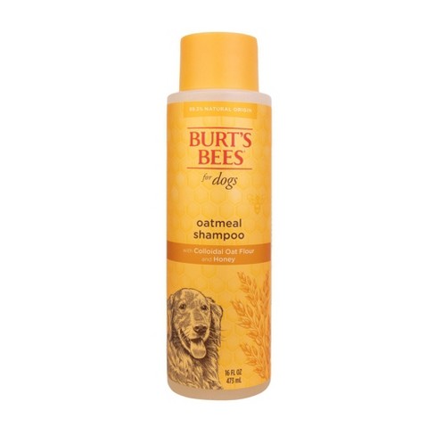 Burt s Bees Oatmeal Shampoo With Colloidal Oat Flour Honey For Dogs 16 Fl Oz Target