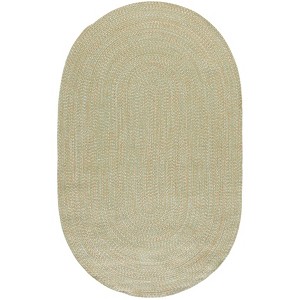 Braided BRA260 Hand Woven UV Resistant, Stain Resistant, Non-Shedding Machine Washable Indoor Rugs - Safavieh - 1 of 4