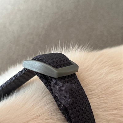 The Worthy Dog Graphic Diamond Dog Collar : Target