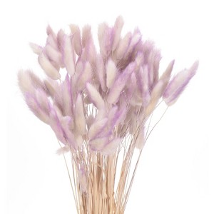 Unique Bargains Decorative Natural Dried Floral Bunny Tail Artificial Plants 120 Pcs - 1 of 4