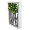 Northlight 18.5" White Birch Branch Lemon Tree Rustic Wooden Frame Decoration - 2 of 3