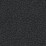 florida a&m rattlers