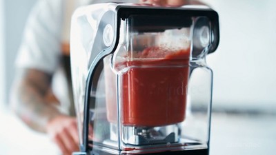 【新品未使用】Blendtec Professional 800 限定大特価 Blendtec Professional 800 Blender, 34 oz GO Travel Bottle