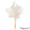 Uniquewise Preserved Real Floral Stems Chic Vase Fillers & Accents for Bouquets Centerpieces - 4 of 4