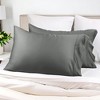 300 Thread Count Rayon From Bamboo Solid Set of 2 Pillowcase Set by Blue Nile Mills - 2 of 4