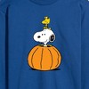 Men's - Peanuts - Snoopy Woodstock Pumpkin Long Sleeve Graphic T-Shirt - 2 of 4